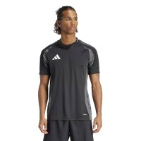 adidas Tiro 24 Competition Trikot Herren - schwarz/grau-3XL