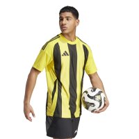 adidas Striped 24 Trikot Herren - gelb/schwarz