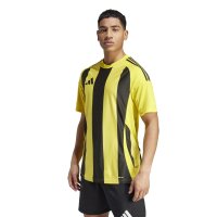 adidas Striped 24 Trikot Herren - gelb/schwarz-XL