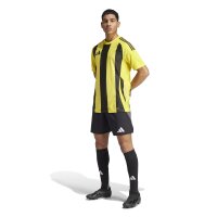 adidas Striped 24 Trikot Herren - gelb/schwarz-XL