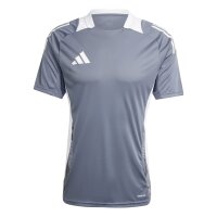 adidas Tiro 24 Competition Trainingstrikot Herren - grau/weiß-L