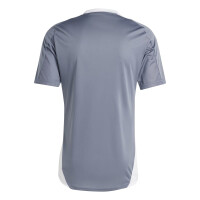 adidas Tiro 24 Competition Trainingstrikot Herren - grau/weiß-L