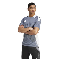 adidas Tiro 24 Competition Trainingstrikot Herren - grau/weiß-L