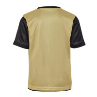 hummel Trainingstrikot EM24 Collection Kinder - schwarz/gold/rot-152
