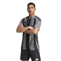 adidas Striped 24 Trikot Herren - grau/schwarz