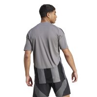adidas Striped 24 Trikot Herren - grau/schwarz