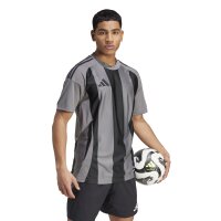 adidas Striped 24 Trikot Herren - grau/schwarz
