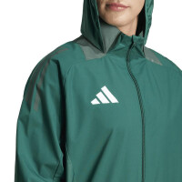 adidas Tiro 24 Competition Allwetterjacke Herren - grün/grau-M