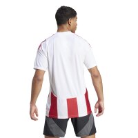 adidas Striped 24 Trikot Herren - rot/weiß