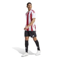 adidas Striped 24 Trikot Herren - rot/weiß