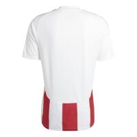 adidas Striped 24 Trikot Herren - rot/weiß - XL