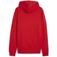 Puma teamGOAL Casuals Hoodie Herren - rot