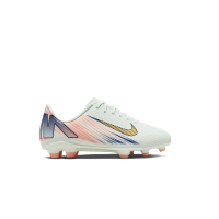 Nike Mercurial Vapor 16 Pro FG/MG Kinder - grün/blau/gold-37.5