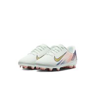 Nike Mercurial Vapor 16 Pro FG/MG Kinder - grün/blau/gold-37.5