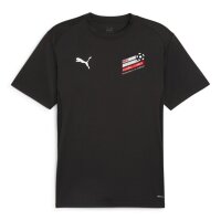 BDFL Puma teamGOAL Trainingsshirt Herren - schwarz