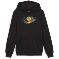 Puma BVB Ftbl Icons Hoodie Herren - schwarz/gelb/grau- S