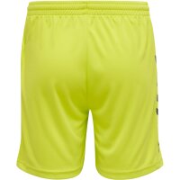 hummel Core Torwart Set - evening primrose