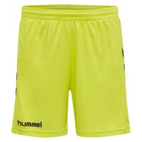 hummel Core Torwart Set - evening primrose