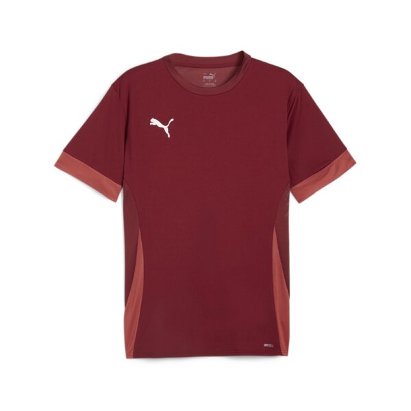 Puma teamGOAL Trikot Herren - dunkelrot - XL