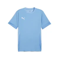 Puma teamGOAL Trikot Herren - hellblau
