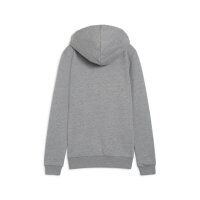 Puma teamGOAL 23 Casual Hoodie Herren - grau