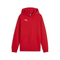 Puma teamGOAL Casuals Hoodie Kinder - rot