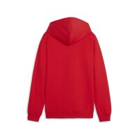Puma teamGOAL Casuals Hoodie Kinder - rot