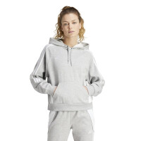 adidas Tiro 24 Sweat Hoodie Damen - grau/weiß-2XL
