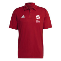 SG Neukirchen-Hülchrath x adidas Entrada 22 Poloshirt Herren - rot-L