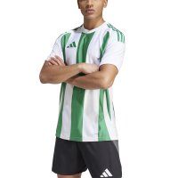 adidas Striped 24 Trikot Herren - grün/weiß