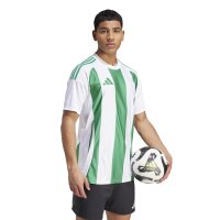adidas Striped 24 Trikot Herren - grün/weiß