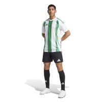 adidas Striped 24 Trikot Herren - grün/weiß