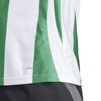 adidas Striped 24 Trikot Herren - grün/weiß