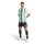 adidas Striped 24 Trikot Herren - grün/weiß