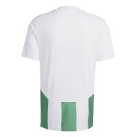 adidas Striped 24 Trikot Herren - grün/weiß-L