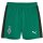 Puma Borussia Mönchengladbach Shorts 23/24 Kinder - grün/schwarz/weiß