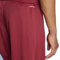 adidas Fortore 23 Shorts Herren - bordeaux/hellblau