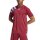 adidas Fortore 23 Trikot Herren - bordeaux/hellblau