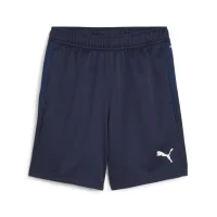 Puma teamGOAL Shorts Kinder - navy