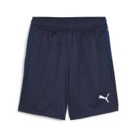 Puma teamGOAL Shorts Kinder - blau