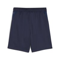Puma teamGOAL Shorts Kinder - blau