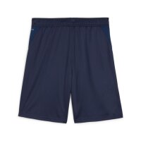 Puma teamGOAL Shorts Herren - blau
