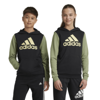 adidas Essentials Big Logo Colorblock Hoodie Kinder - schwarz/olivgr&uuml;n-164