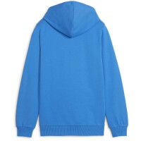 Puma teamGOAL Casuals Hoodie Kinder - blau-140