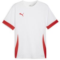 Puma teamGOAL Trikot Herren - weiß/rot
