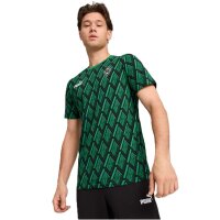 Puma Borussia Mönchengladbach ftblCulture Print T-Shirt Herren - grün/schwarz-S