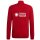 JSG Delhoven-Straberg x adidas Entrada 22 Trainingsjacke Herren - rot