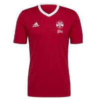 JSG Delhoven-Straberg x adidas Entrada 22 Trikot Kinder - rot/weiß-152