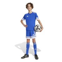 adidas Squadra 25 Trikot Kinder - blau/weiß