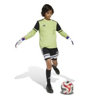 adidas Squadra 25 Torwarttrikot Kinder - hellgrün/schwarz